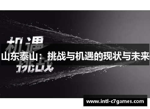 山东泰山：挑战与机遇的现状与未来