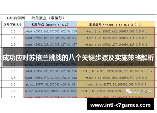 成功应对苏格兰挑战的八个关键步骤及实施策略解析