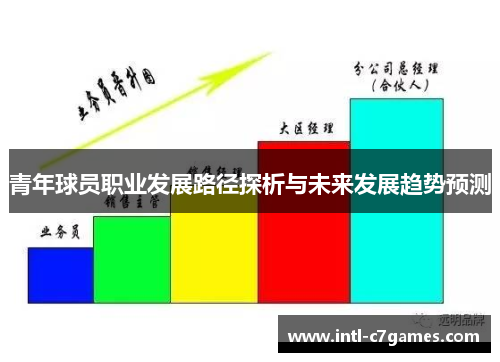 青年球员职业发展路径探析与未来发展趋势预测