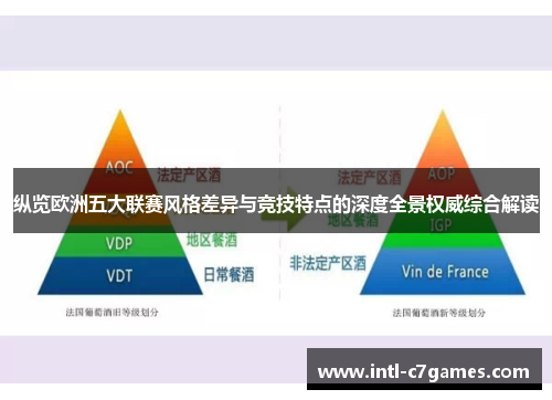 纵览欧洲五大联赛风格差异与竞技特点的深度全景权威综合解读